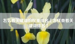 怎么看关键词的权重排名【怎样查看关键词排名】