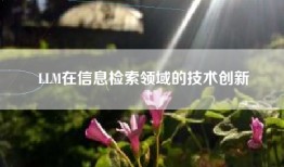 LLM在信息检索领域的技术创新