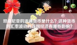 坦桑尼亚的流通货币是什么？这种货币的汇率波动对该国经济有哪些影响？