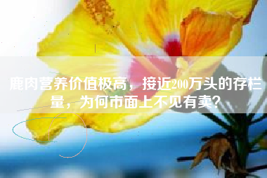 鹿肉营养价值极高，接近200万头的存栏量，为何市面上不见有卖？