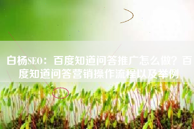 白杨SEO：百度知道问答推广怎么做？百度知道问答营销操作流程以及举例