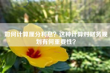 如何计算厘分利息？这种计算对财务规划有何重要性？