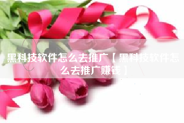 黑科技软件怎么去推广【黑科技软件怎么去推广赚钱】