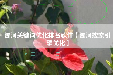 漯河关键词优化排名软件【漯河搜索引擎优化】