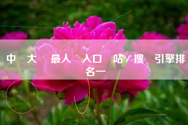 中國大陸 最人氣入口網站／搜尋引擎排名一覽