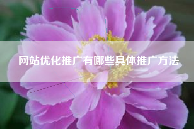 网站优化推广有哪些具体推广方法