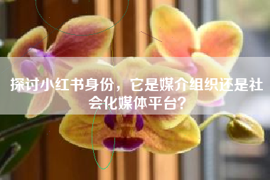探讨小红书身份，它是媒介组织还是社会化媒体平台？