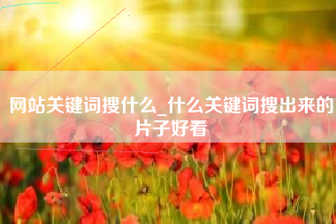 网站关键词搜什么_什么关键词搜出来的片子好看