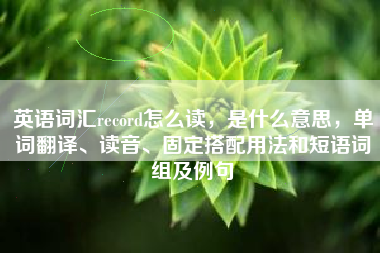 英语词汇record怎么读，是什么意思，单词翻译、读音、固定搭配用法和短语词组及例句