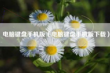 电脑键盘手机版（电脑键盘手机版下载）