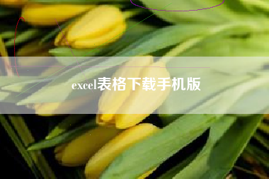excel表格下载手机版