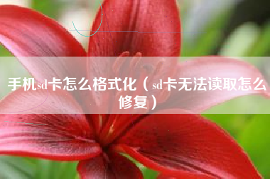 手机sd卡怎么格式化（sd卡无法读取怎么修复）