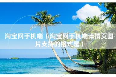 淘宝网手机端（淘宝网手机端详情页图片支持的格式是）