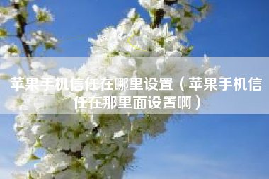 苹果手机信任在哪里设置（苹果手机信任在那里面设置啊）