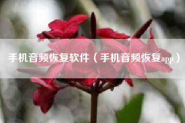 手机音频恢复软件（手机音频恢复app）
