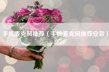 手机麦克风推荐（手机麦克风推荐安装）