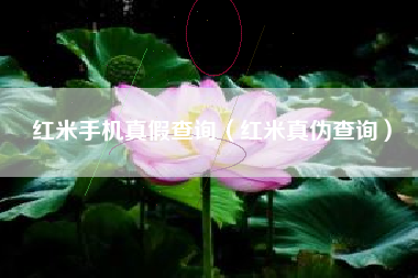 红米手机真假查询（红米真伪查询）