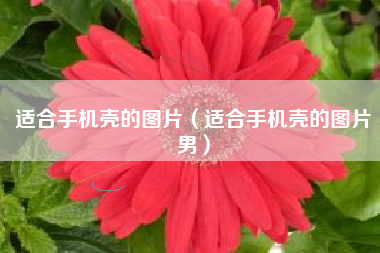 适合手机壳的图片（适合手机壳的图片男）