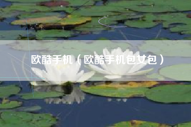 欧酷手机（欧酷手机包女包）