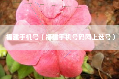 福建手机号（福建手机号码网上选号）