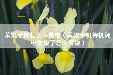 苹果手机怎么不费电（苹果手机待机耗电太快了怎么解决）