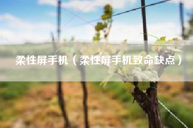 柔性屏手机（柔性屏手机致命缺点）