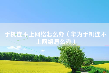 手机连不上网络怎么办（华为手机连不上网络怎么办）