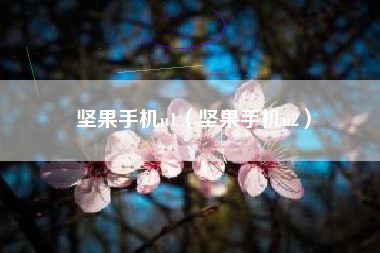 坚果手机u1（坚果手机u2）