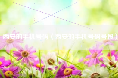 西安的手机号码（西安的手机号码号段）