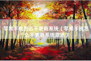 苹果手机怎么不更新系统（苹果手机怎么不更新系统激活）
