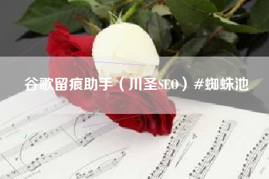 谷歌留痕助手（川圣SEO）#蜘蛛池