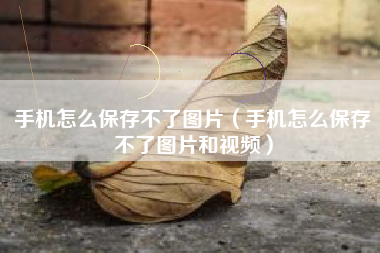 手机怎么保存不了图片（手机怎么保存不了图片和视频）