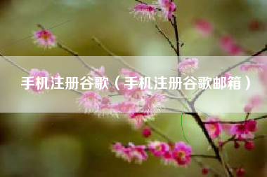手机注册谷歌（手机注册谷歌邮箱）