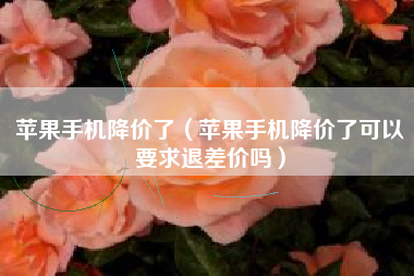 苹果手机降价了（苹果手机降价了可以要求退差价吗）