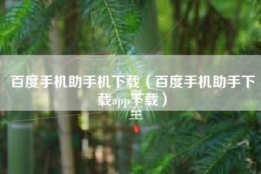 百度手机助手机下载（百度手机助手下载app下载）