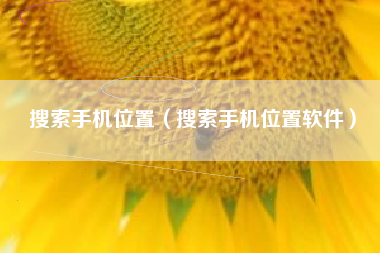 搜索手机位置（搜索手机位置软件）
