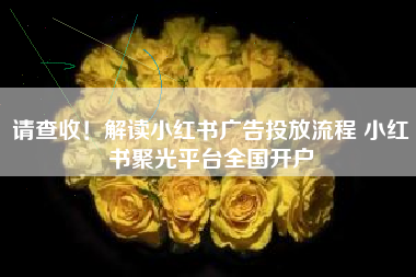 请查收！解读小红书广告投放流程 小红书聚光平台全国开户